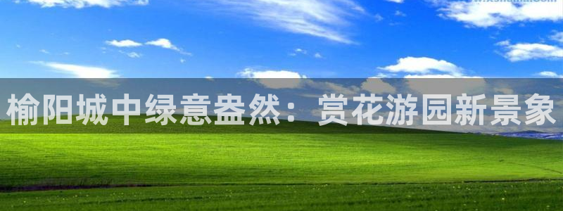 卧龙娱乐在线直播网站