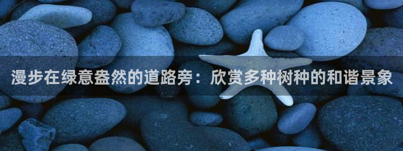 南阳卧龙区娱乐