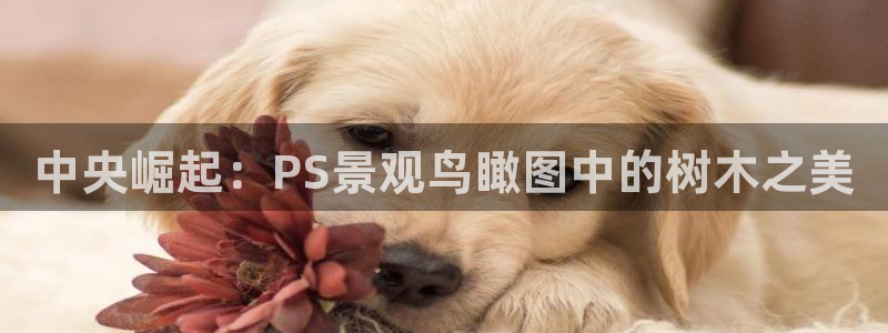 卧龙娱乐在线下载游戏