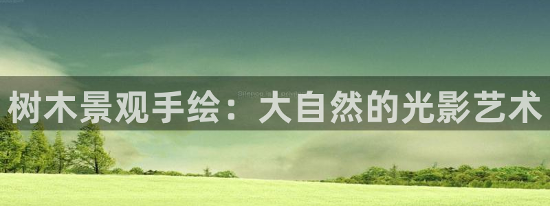 卧龙湖娱乐设施