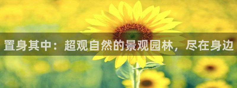 卧龙娱乐老板是谁啊