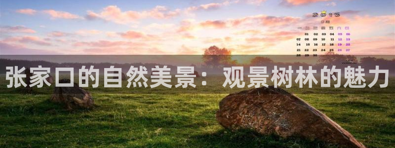 卧龙娱乐天7O667