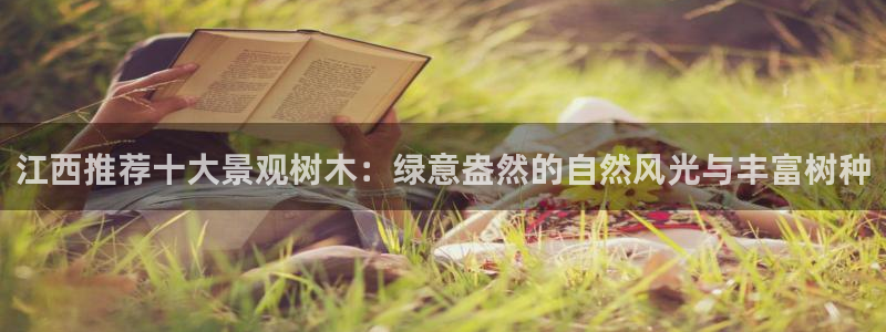 卧龙娱乐月7O667