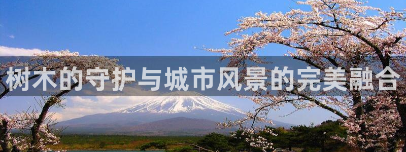 卧龙岗娱乐