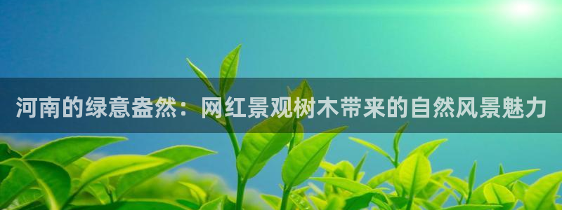 卧龙娱乐老板是谁啊