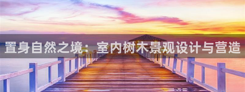 娱乐圈卧龙凤雏