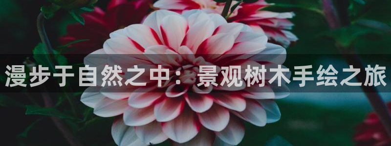卧龙娱乐32二九01