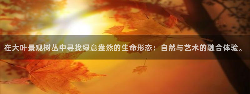 卧龙娱乐彩票中奖