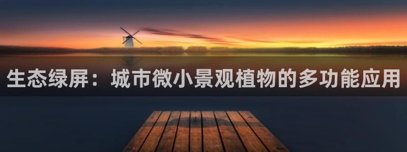 卧龙娱乐在线直播平台