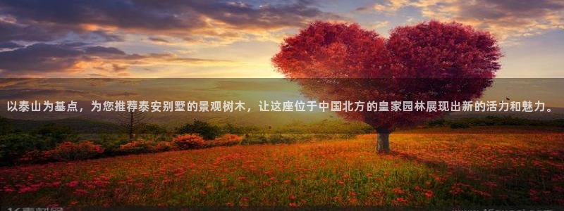 卧龙娱乐设备公司