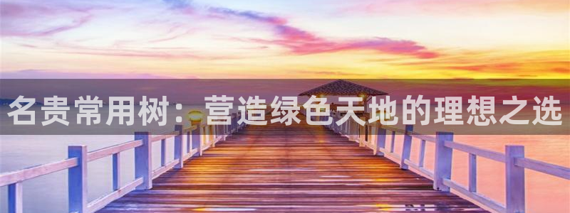 ta娱乐 卧龙股东60447
