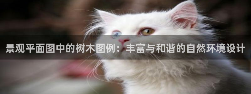 卧龙区微微娱乐商城