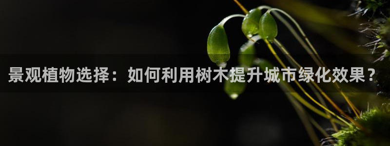 卧龙哥休闲娱乐