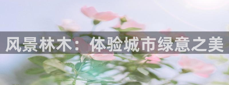 厦门卧龙台球娱乐会所