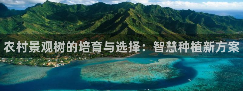 卧龙娱乐3822233