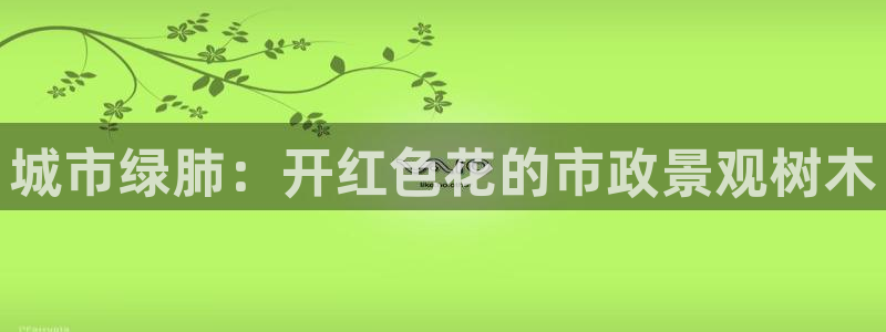 大娱乐家卧龙先生