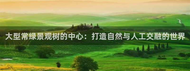 BA娱乐卧龙招商60447