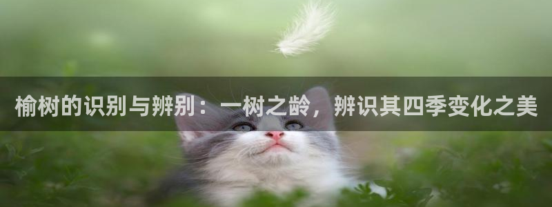 创亿娱乐d卧龙313322