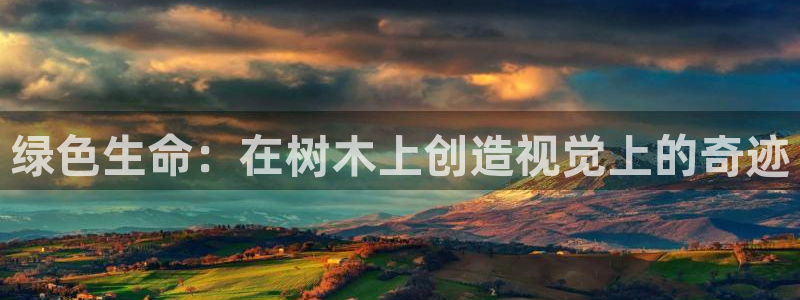 卧龙台球娱乐会所地址