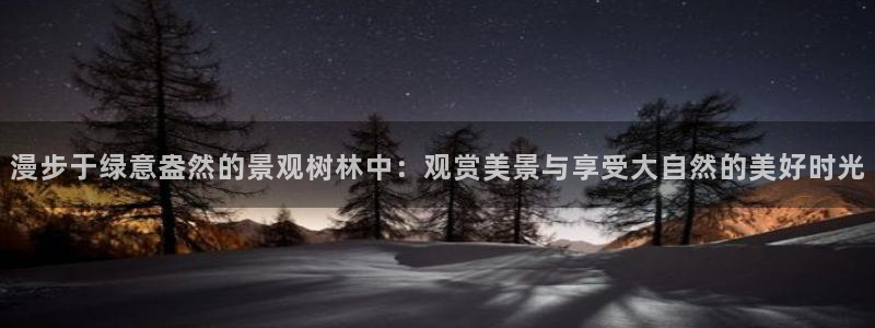 卧龙娱乐是什么