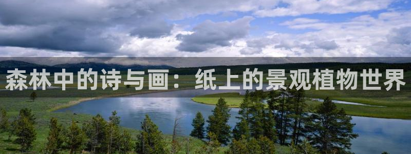 卧龙娱乐怎样