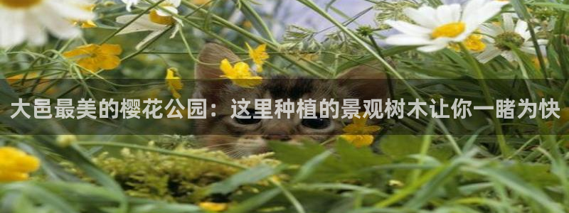 凤凰娱乐ktv卧龙路