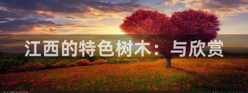 超越娱乐b卧龙313322