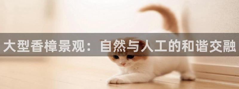 卧龙凤雏娱乐资讯