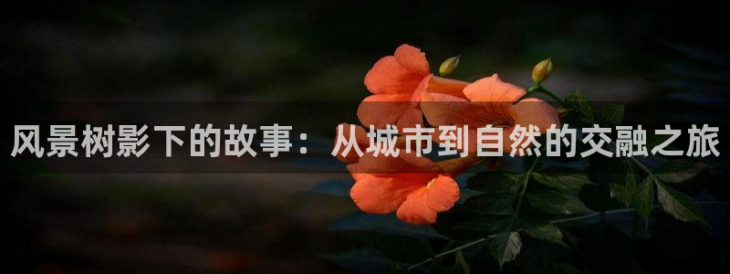 HR娱乐卧龙招商60447