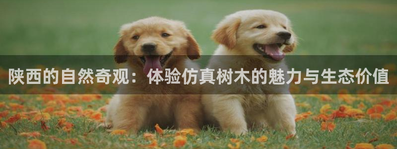 太和卧龙娱乐会所招聘