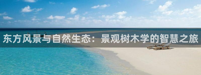 卧龙区凤凰娱乐