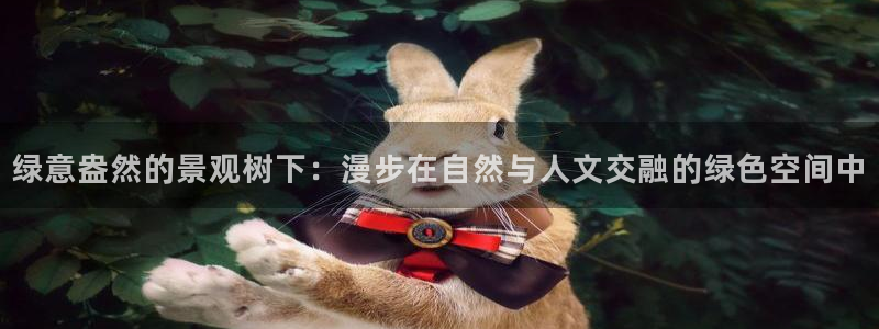 卧龙娱乐设备