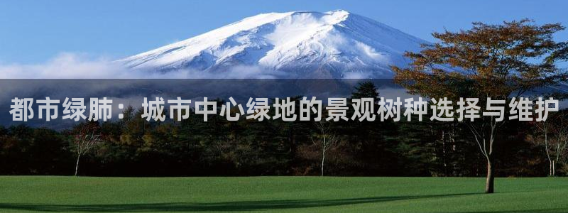 e彩娱乐 卧龙股东60447