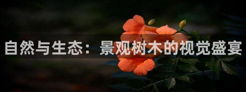 娱乐聚焦卧龙凤雏