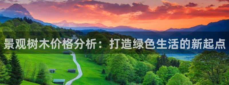 卧龙娱乐APP