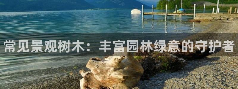 卧龙娱乐官网注册：常见景观树木：丰富园林绿意的守护者