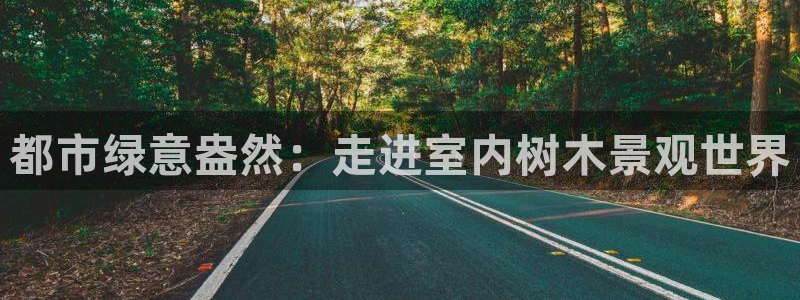 旗下卧龙娱乐