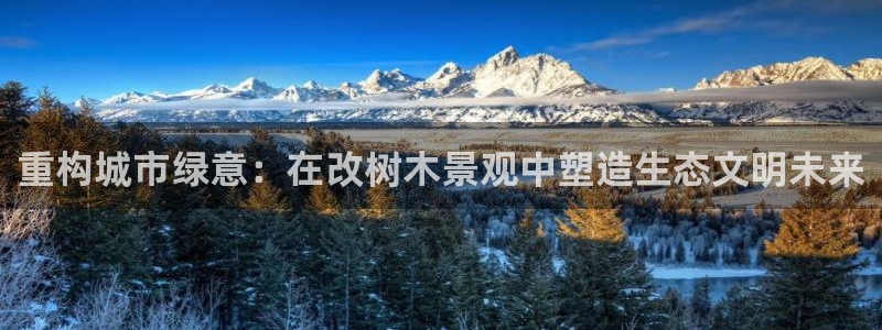 卧龙公园的娱乐项目