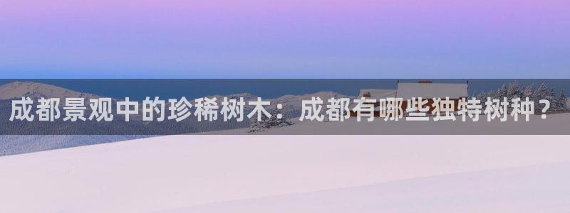 卧龙区维也纳娱乐会所