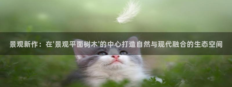 卧龙娱乐彩票：景观新作：在\'景观平面树木\'的中心打造自然与现代融合的生态空间