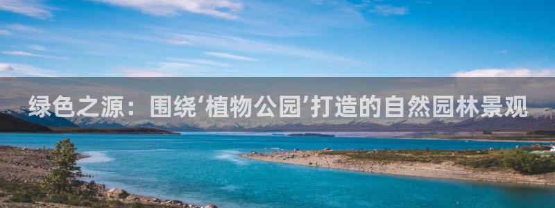 卧龙区凤凰娱乐