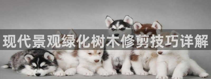 南阳卧龙水之梦娱乐会所