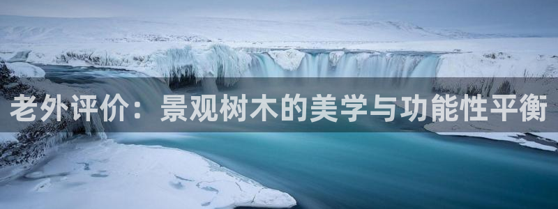 卧龙湾儿童娱乐项目价格