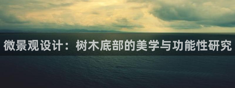 卧龙娱乐计划