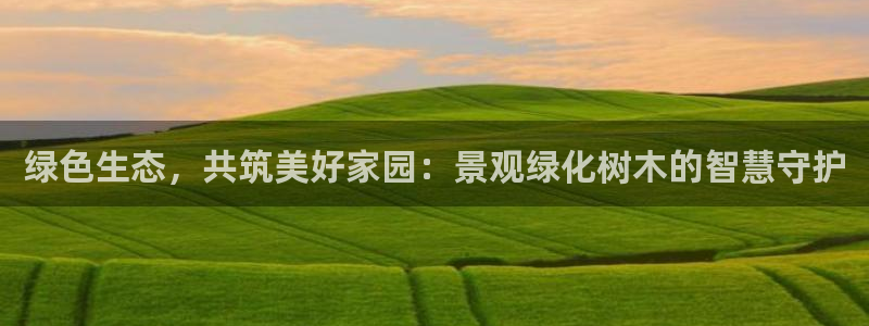 卧龙镇娱乐