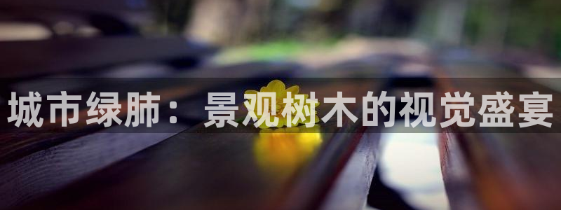 卧龙娱乐是真假吗：城市绿肺：景观树木的视觉盛宴