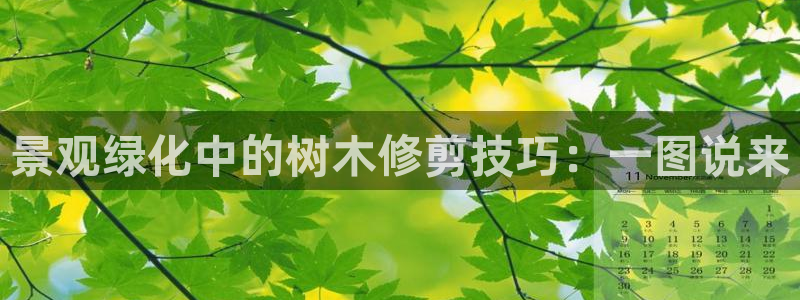 卧龙娱乐场所：景观绿化中的树木修剪技巧：一图说来