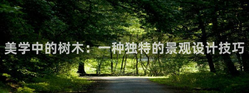 卧龙2神机娱乐代理