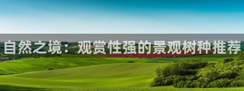 大娱乐家卧龙先生