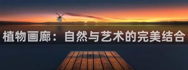 卧龙娱乐总代理是谁呀